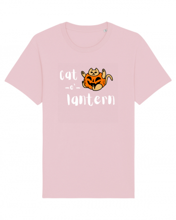 Cat - o '- lantern (alb)  Cotton Pink