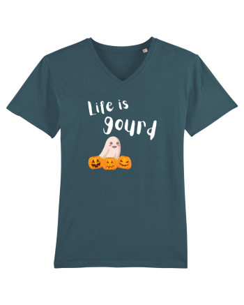 Life is Gourd (alb)  Stargazer