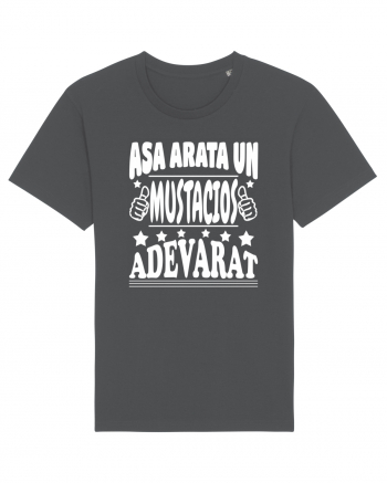 Asa arata un mustacios adevarat Anthracite