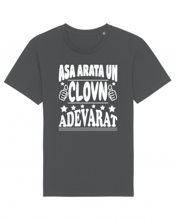 Asa arata un clovn adevarat Anthracite