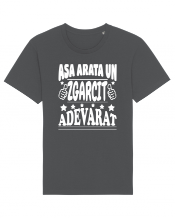 Asa arata un zgarcit adevarat Anthracite