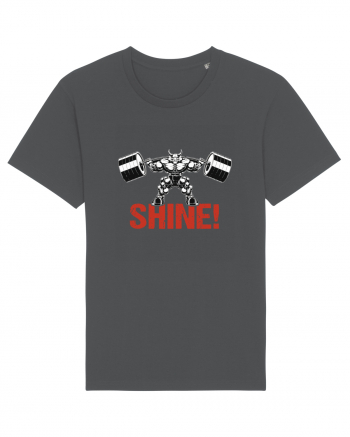 Shine! Anthracite