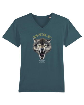 Wolf Stargazer