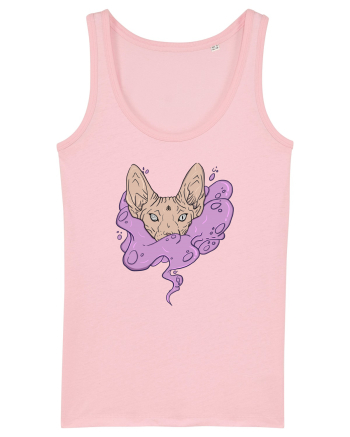 Sphynx cat Maiou Damă Dreamer