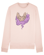 Sphynx cat Bluză mânecă lungă Unisex Rise