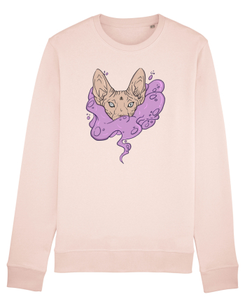 Sphynx cat Bluză mânecă lungă Unisex Rise