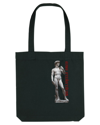 Michelangelo David Black