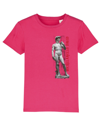 Michelangelo David Raspberry