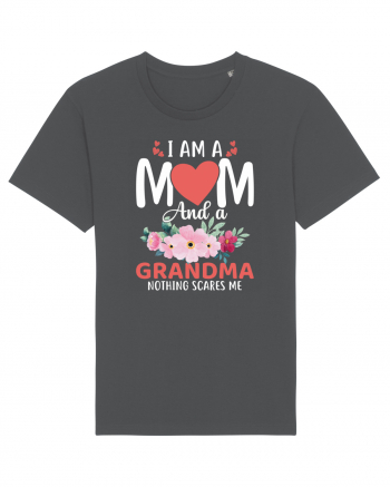 I Am A Mom And A Grandma Nothing Scares Me Anthracite