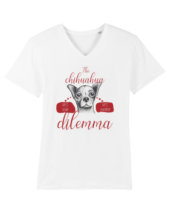 chihuahua dilemma White
