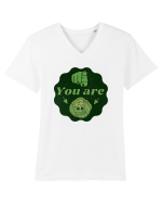 You are Varza(esti varza) Tricou mânecă scurtă guler V Bărbat Presenter