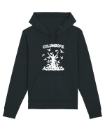 Columbofil , iubitor de porumbei Hanorac Unisex Drummer