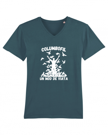 Columbofil , Un Mod De Viata Stargazer