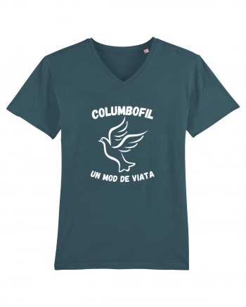 Columbofil , Un Mod De Viata  O Pasiune Stargazer