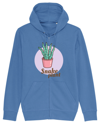 Snake plant Bright Blue