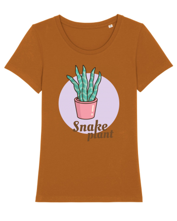 Snake plant Roasted Orange