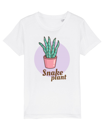 Snake plant White