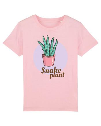 Snake plant Cotton Pink