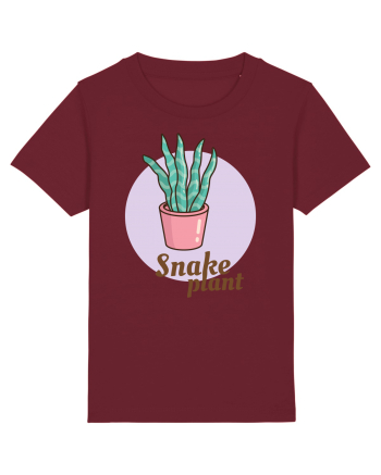 Snake plant Burgundy