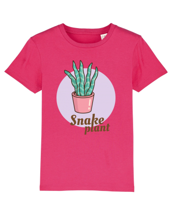 Snake plant Raspberry