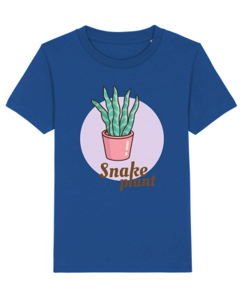 Snake plant Majorelle Blue