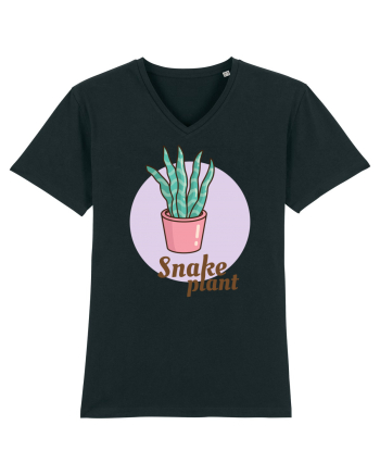 Snake plant Black