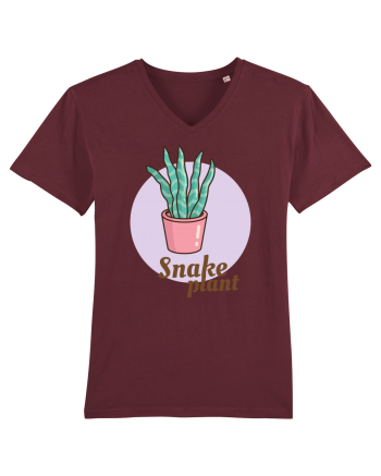 Snake plant Burgundy
