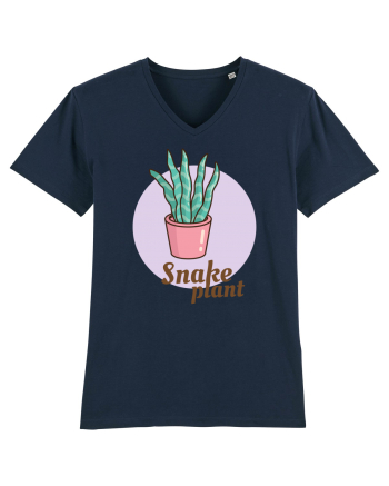 Snake plant French Navy