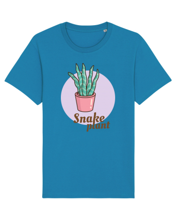 Snake plant Azur