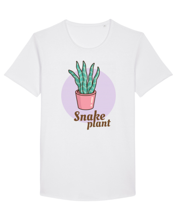 Snake plant White