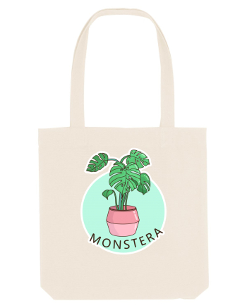 Planta Monstera Natural