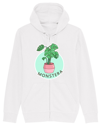 Planta Monstera White