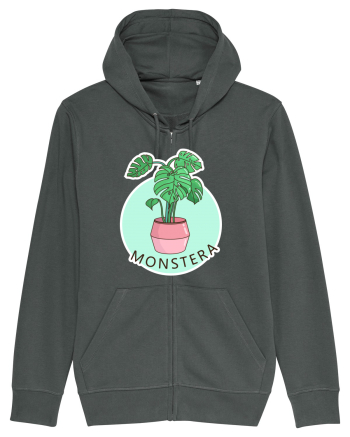 Planta Monstera Anthracite