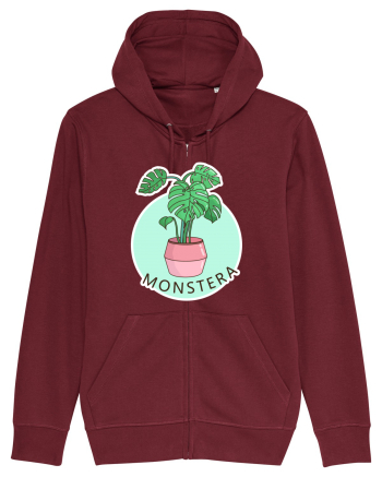 Planta Monstera Burgundy
