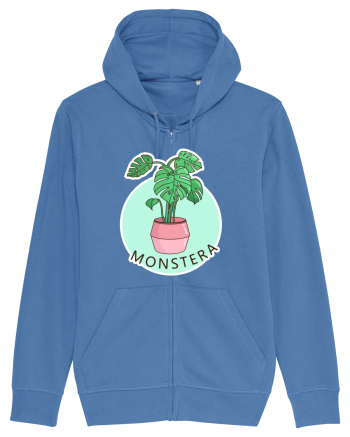 Planta Monstera Bright Blue