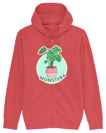 Planta Monstera Carmine Red