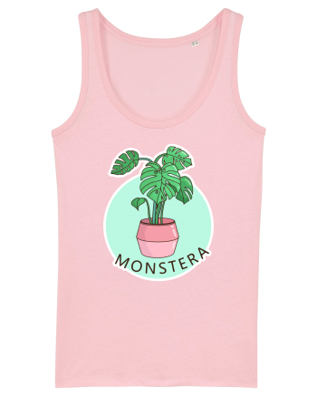 Planta Monstera Cotton Pink