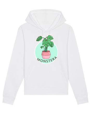 Planta Monstera White