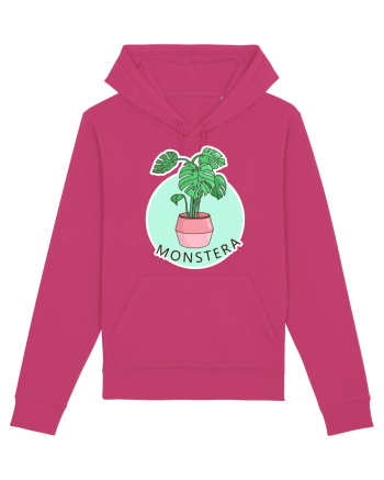 Planta Monstera Raspberry