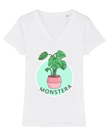 Planta Monstera White