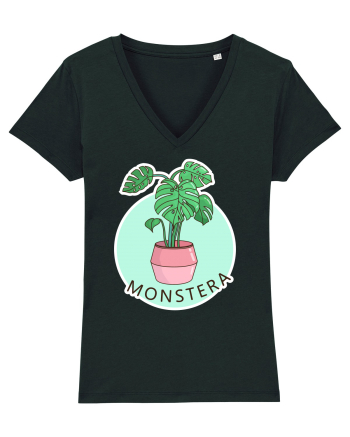 Planta Monstera Black