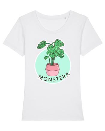 Planta Monstera White