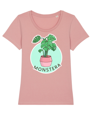 Planta Monstera Canyon Pink