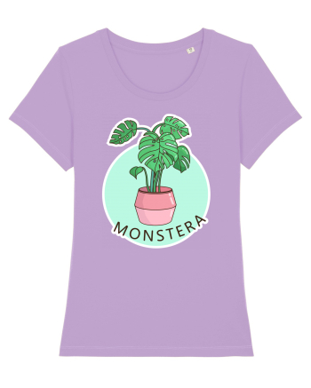 Planta Monstera Lavender Dawn