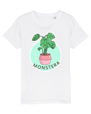 Planta Monstera White