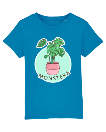 Planta Monstera Azur