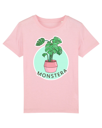 Planta Monstera Cotton Pink