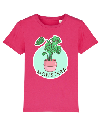 Planta Monstera Raspberry