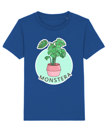 Planta Monstera Majorelle Blue