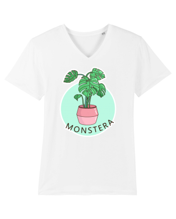 Planta Monstera White